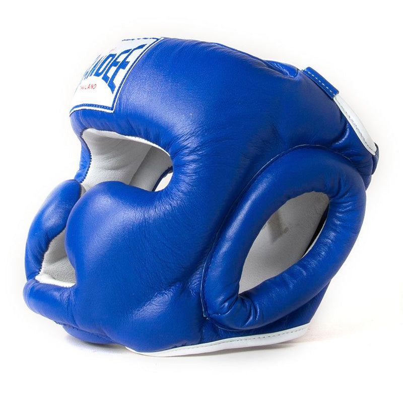 Closed Face Head Guard - Blue & White